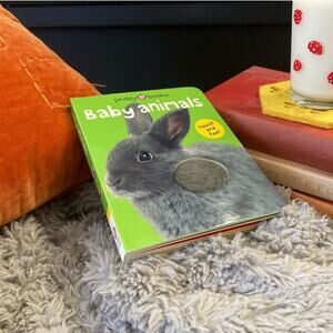 Baby Animals (Touch & Feel book)